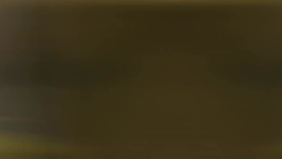 VID